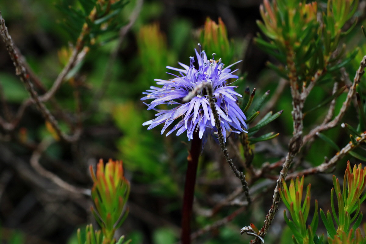 2015_06_18_003997p_Bildgr��e �ndern