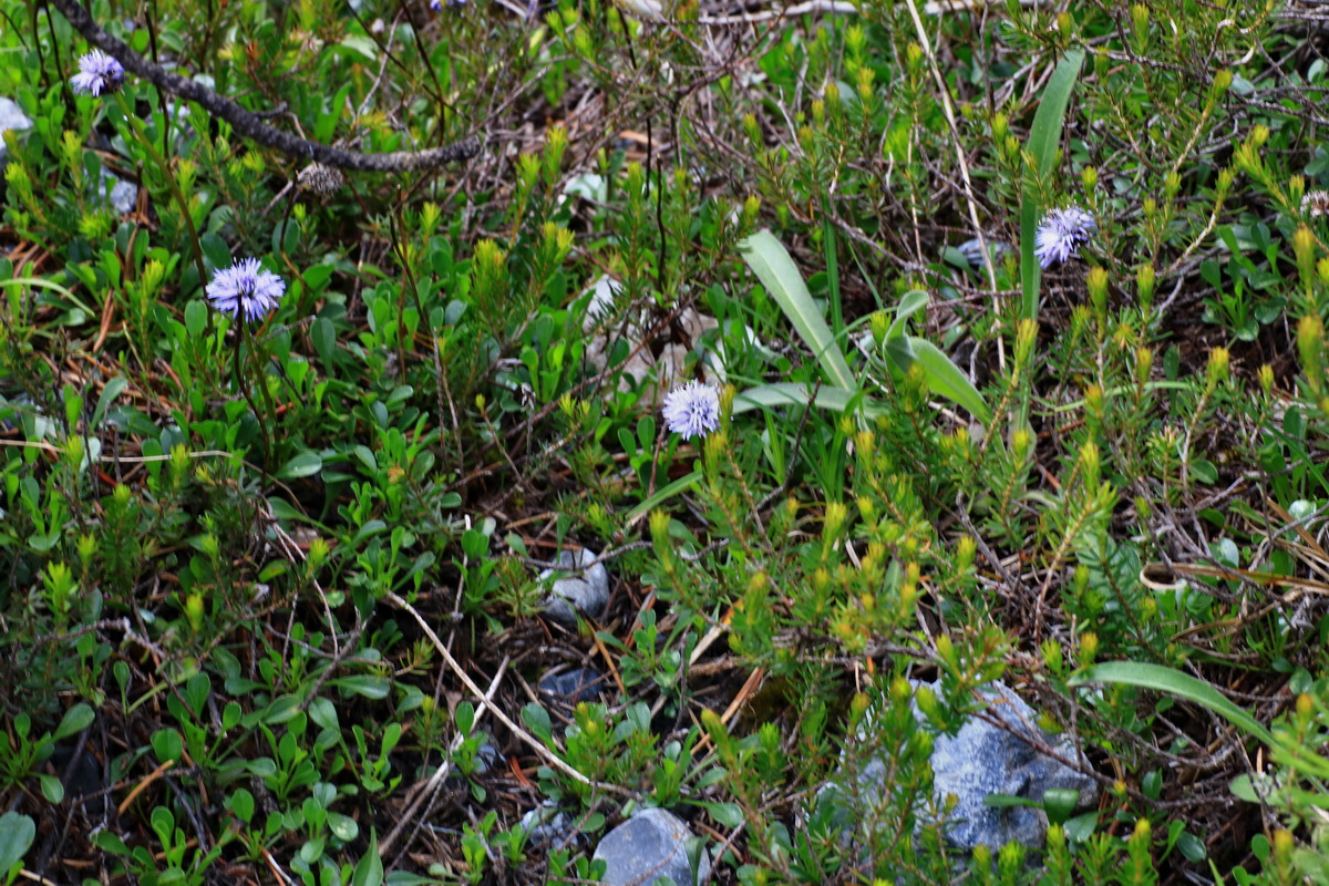 2015_06_18_004002p_Bildgr��e �ndern