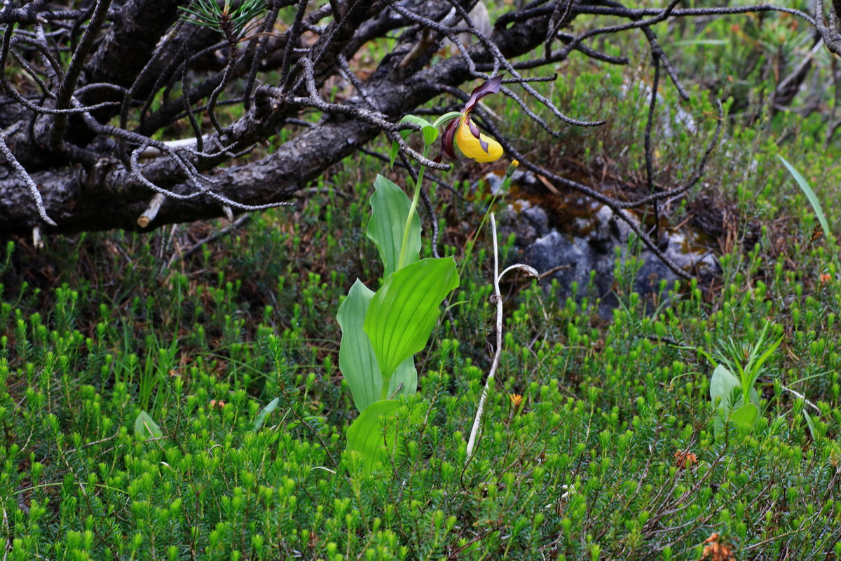 2015_06_18_004003p_Bildgr��e �ndern