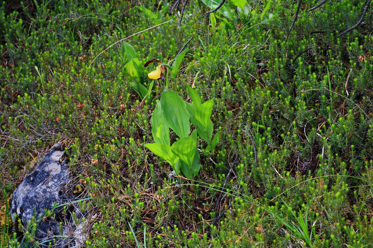 2015_06_18_004006p_Bildgr��e �ndern