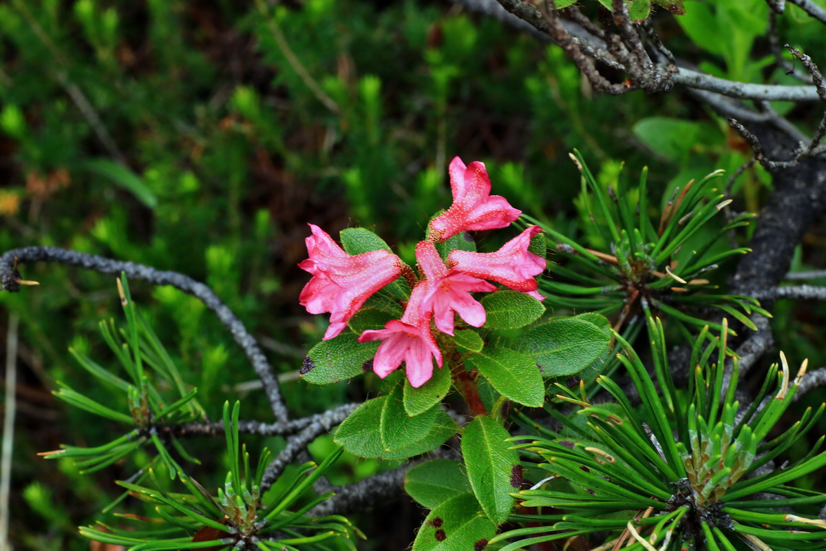 2015_06_18_004013p_Bildgr��e �ndern