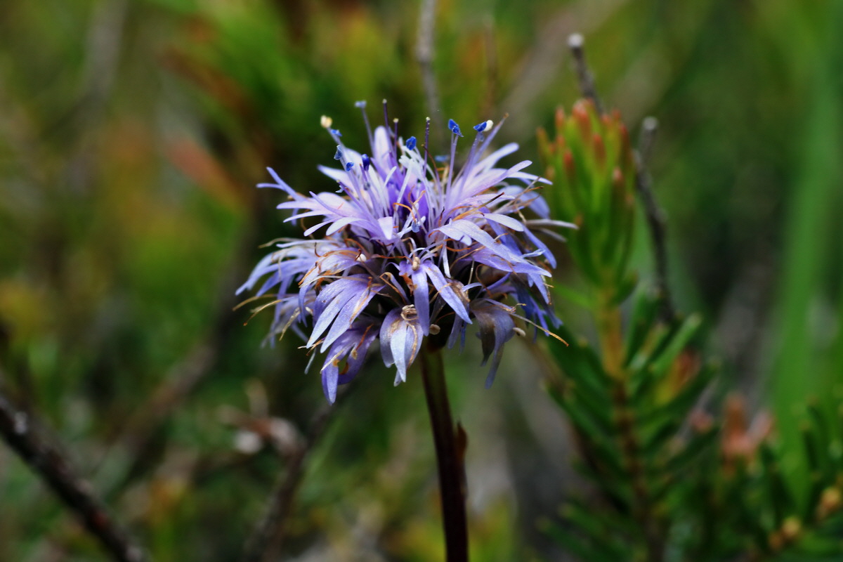 2015_06_18_004020p_Bildgr��e �ndern