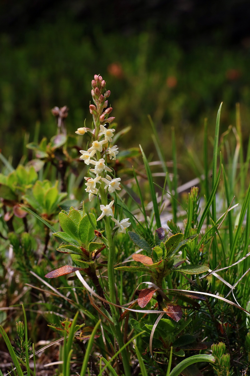 2015_06_18_004027p_Bildgr��e �ndern