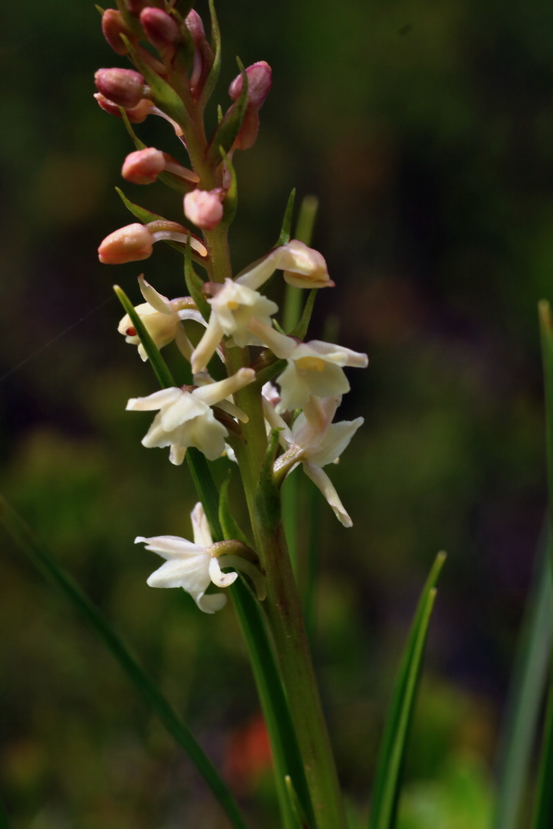 2015_06_18_004032p_Bildgr��e �ndern