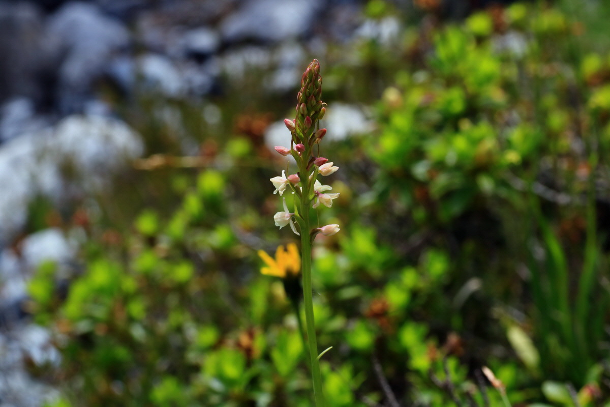 2015_06_18_004034p_Bildgr��e �ndern