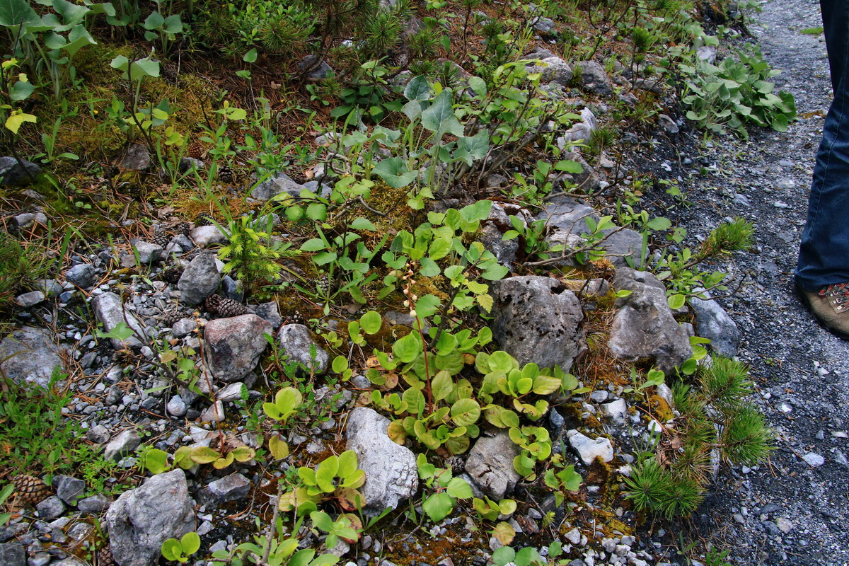 2015_06_18_004063p_Bildgr��e �ndern