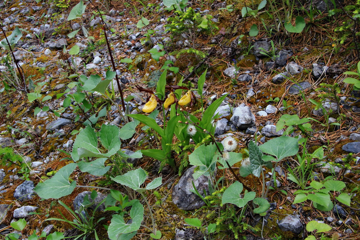 2015_06_18_004068p_Bildgr��e �ndern