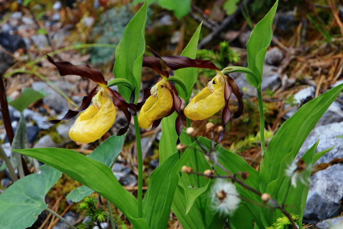 2015_06_18_004072p_Bildgr��e �ndern