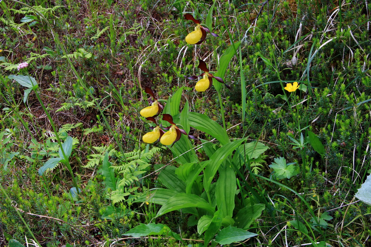 2015_06_18_004089p_Bildgr��e �ndern