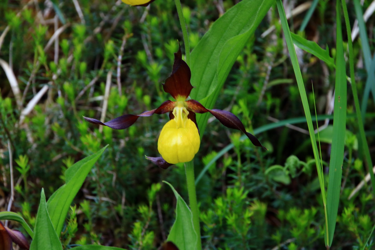 2015_06_18_004091p_Bildgr��e �ndern