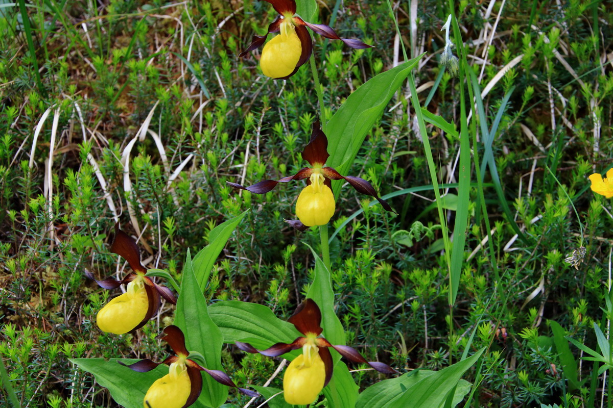 2015_06_18_004092p_Bildgr��e �ndern