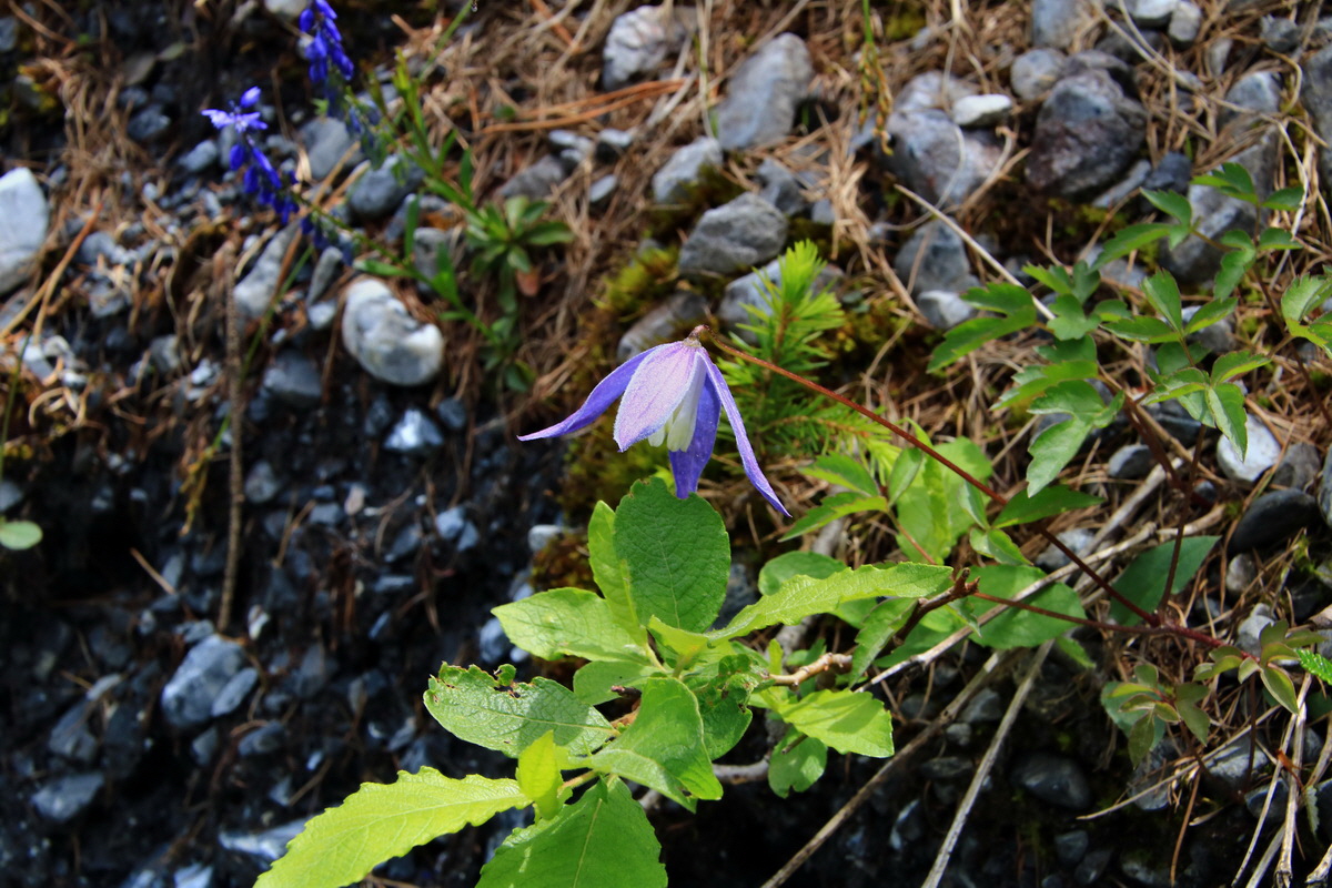 2015_06_18_004100p_Bildgr��e �ndern