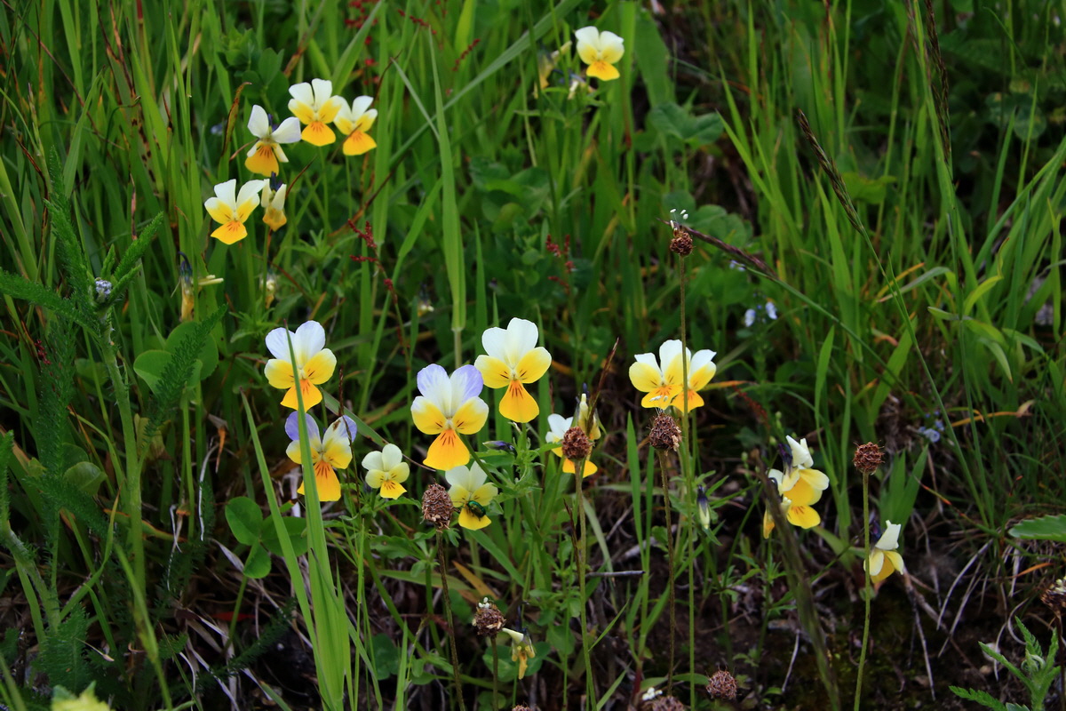 2015_06_18_004287p_Bildgr��e �ndern