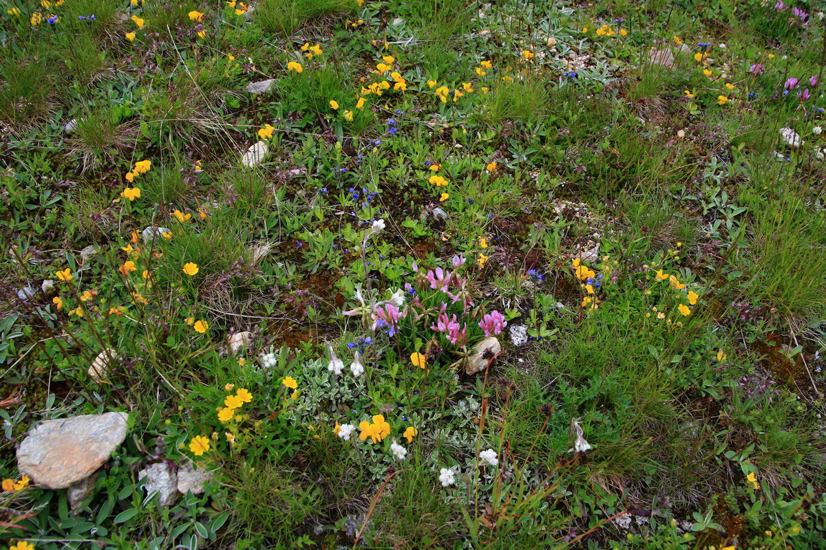 2015_06_18_004292p_Bildgr��e �ndern