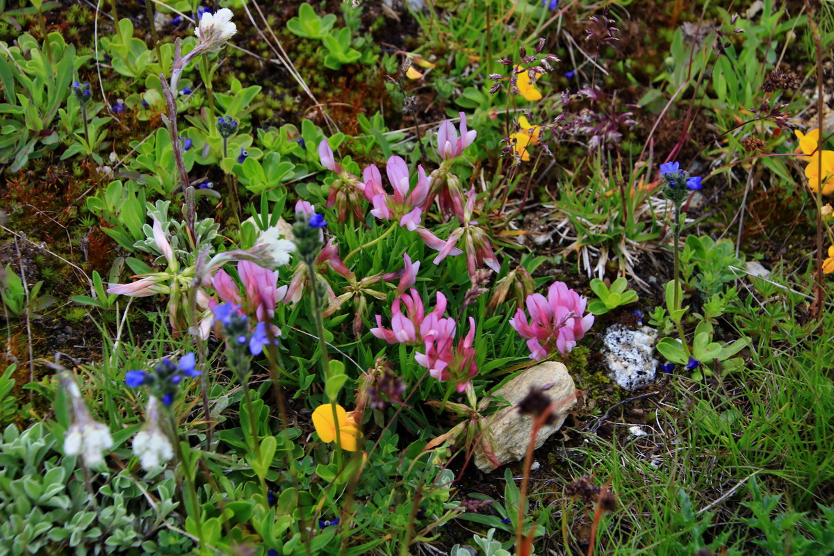 2015_06_18_004294p_Bildgr��e �ndern