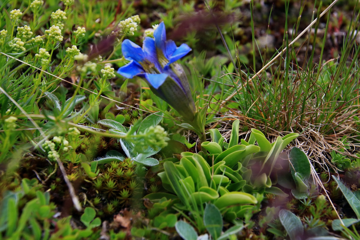 2015_06_18_004296p_Bildgr��e �ndern