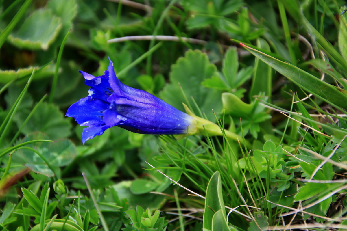 2015_06_18_004299p_Bildgr��e �ndern