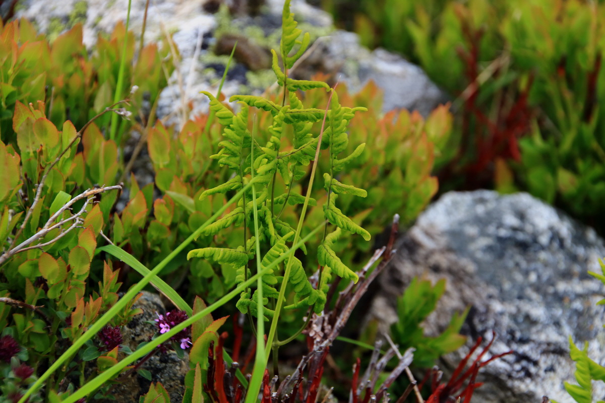 2015_06_18_004313p_Bildgr��e �ndern