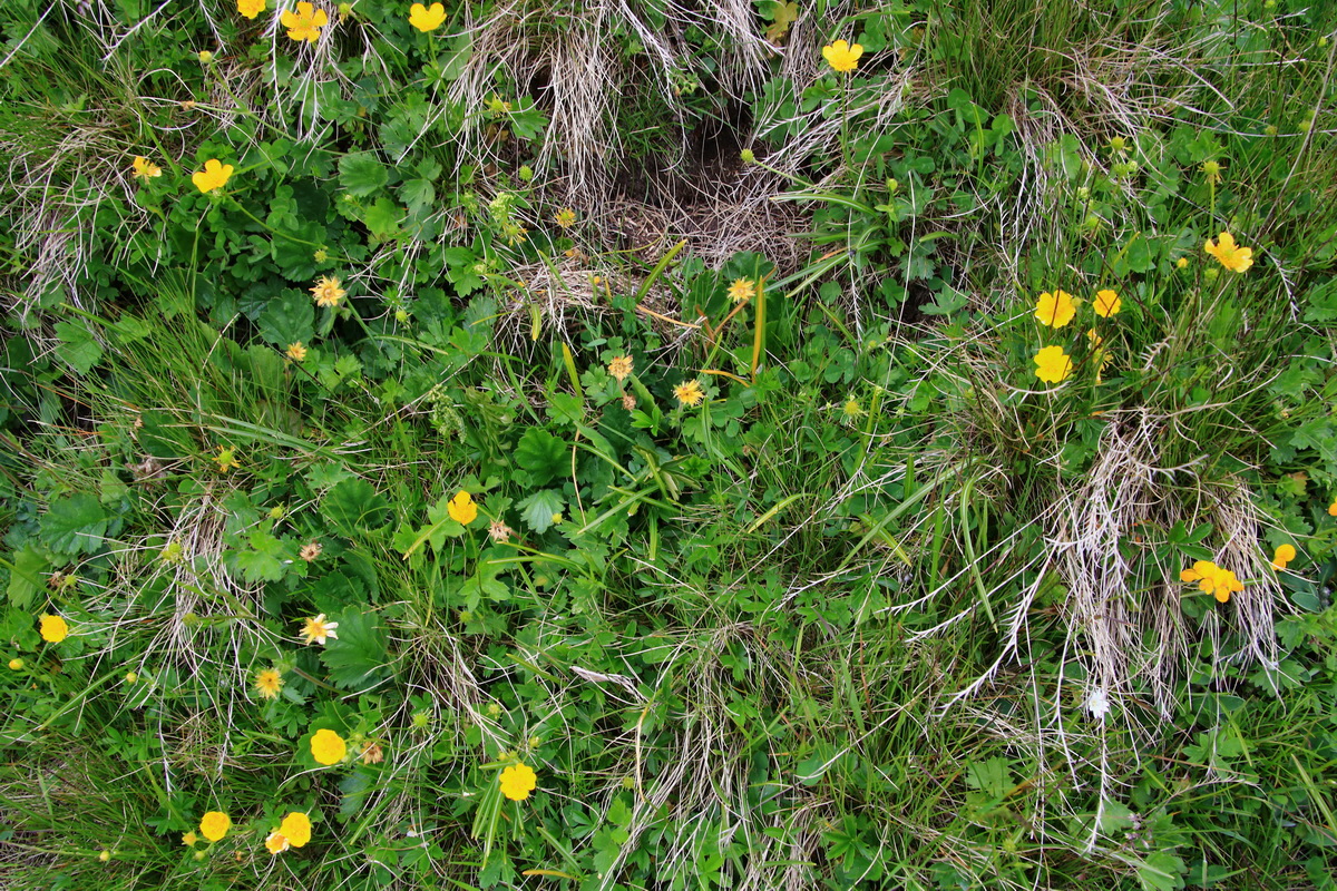 2015_06_18_004315p_Bildgr��e �ndern