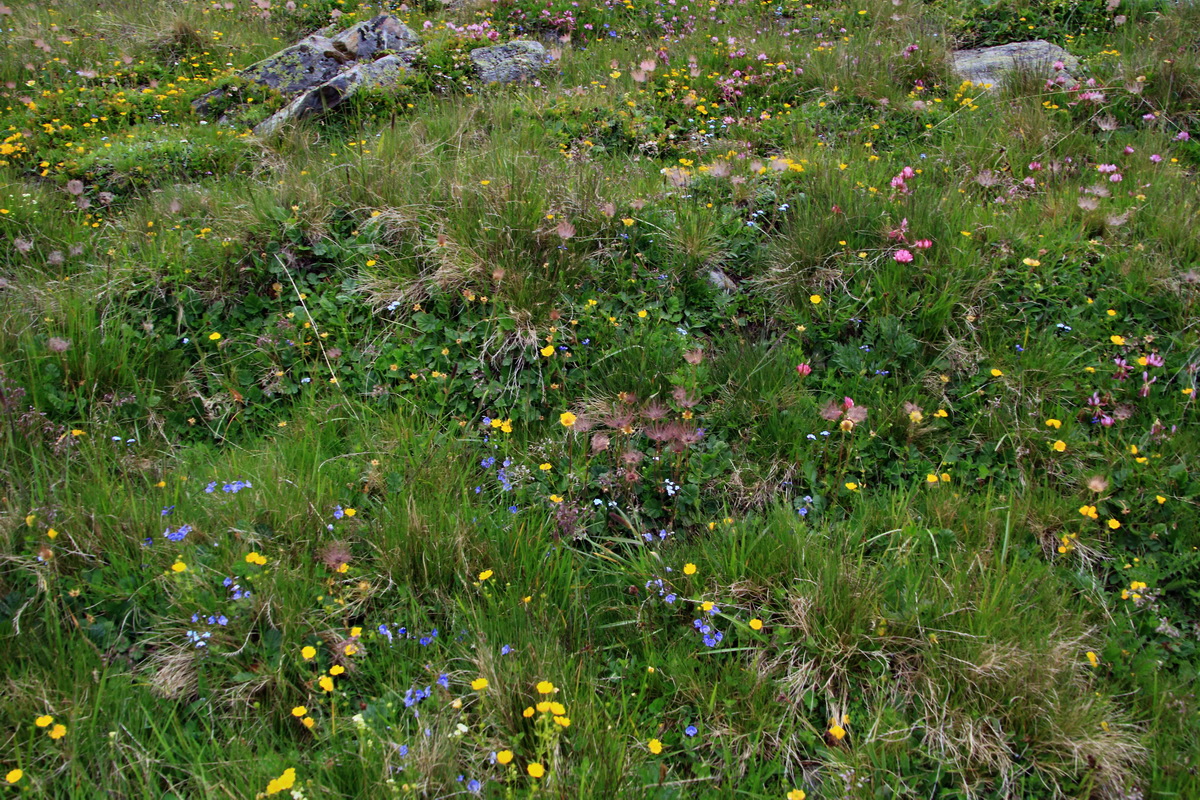 2015_06_18_004317p_Bildgr��e �ndern