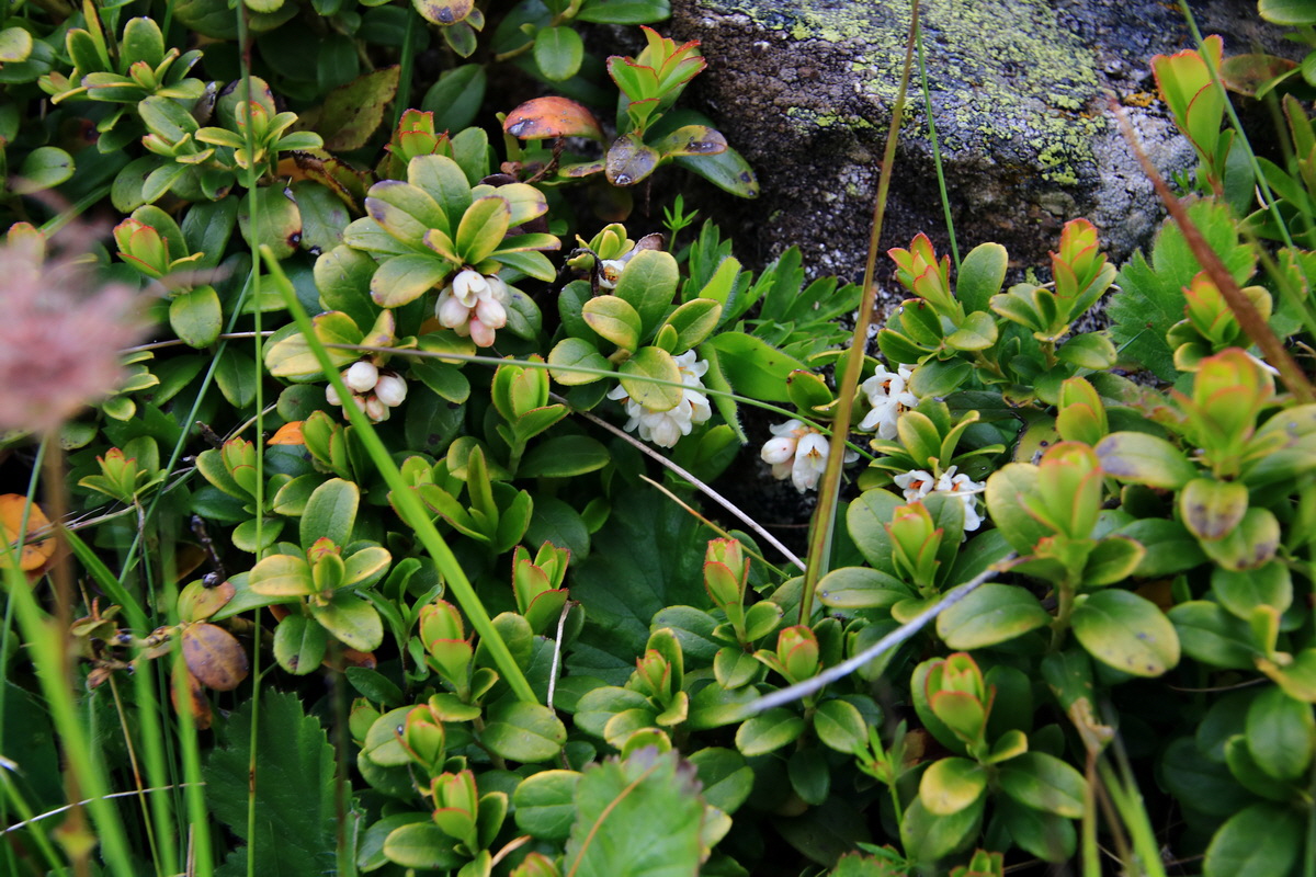 2015_06_18_004319p_Bildgr��e �ndern