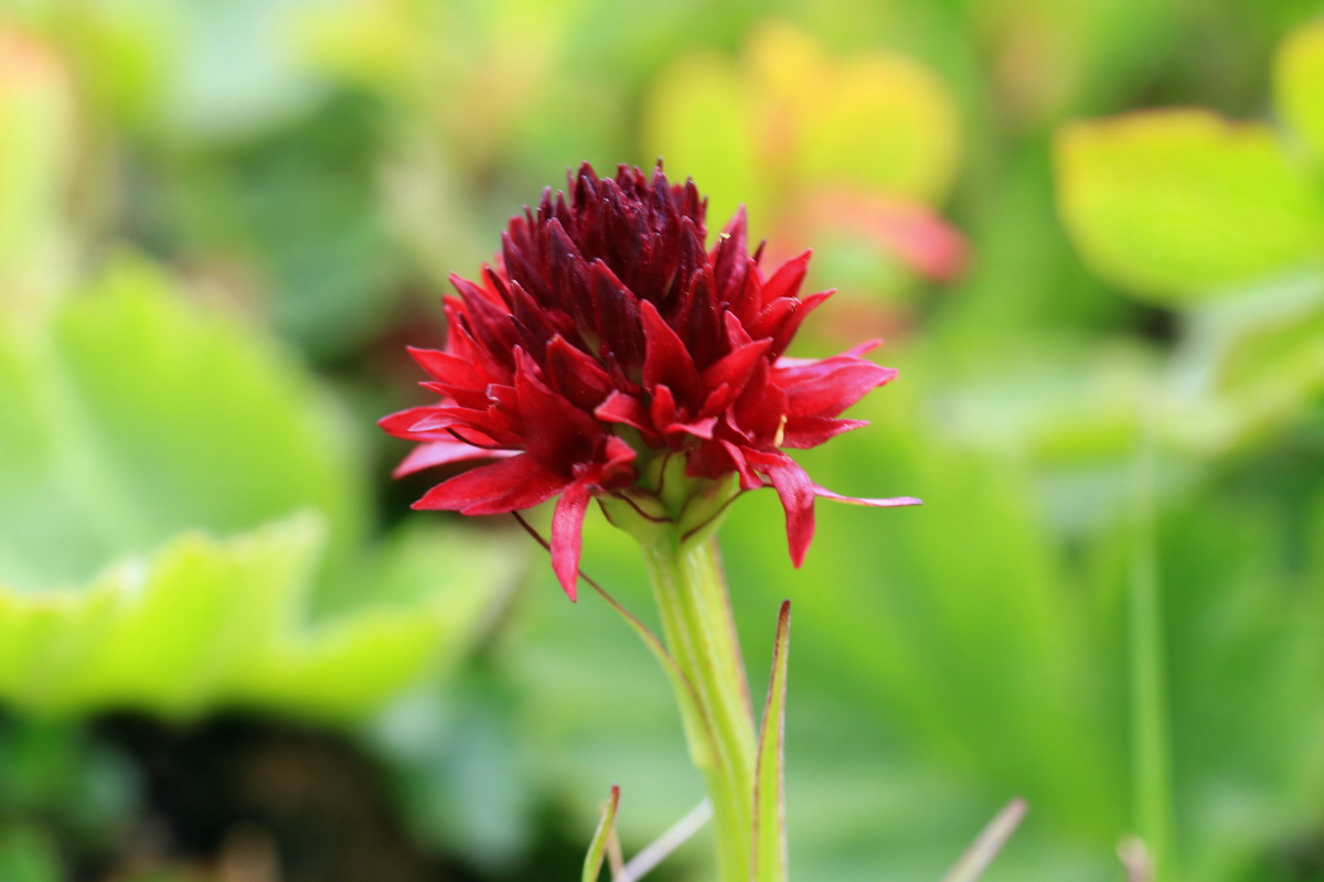 2015_06_18_004330p_Bildgr��e �ndern