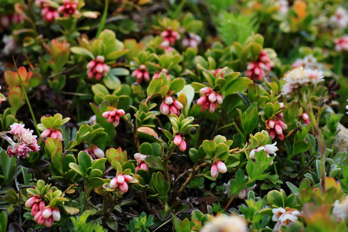 2015_06_18_004336p_Bildgr��e �ndern