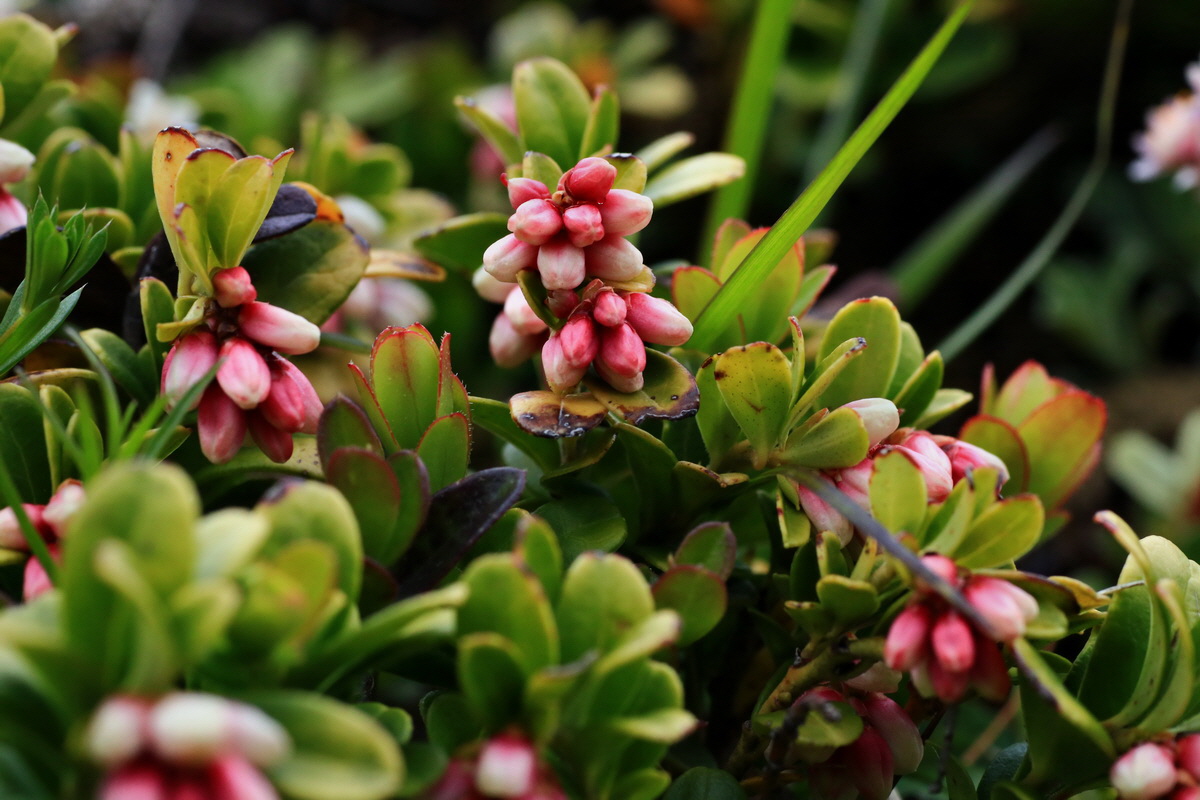 2015_06_18_004338p_Bildgr��e �ndern