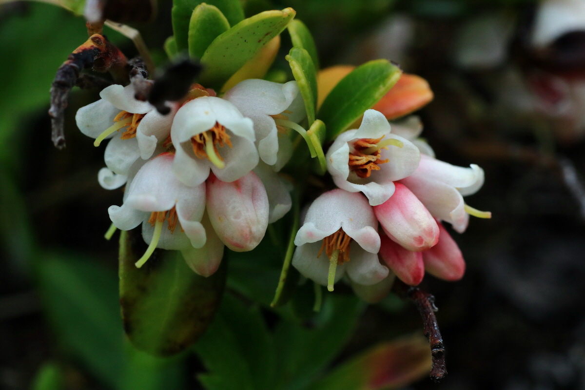 2015_06_18_004341p_Bildgr��e �ndern