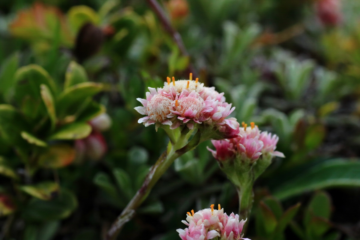 2015_06_18_004342p_Bildgr��e �ndern