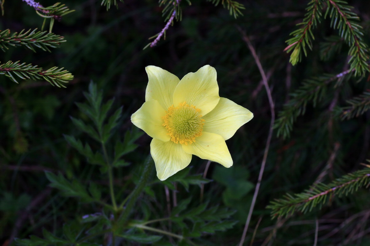 2015_06_18_004344p_Bildgr��e �ndern