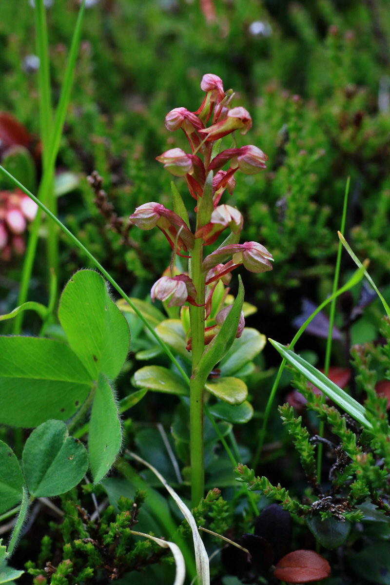 2015_06_18_004347p_Bildgr��e �ndern