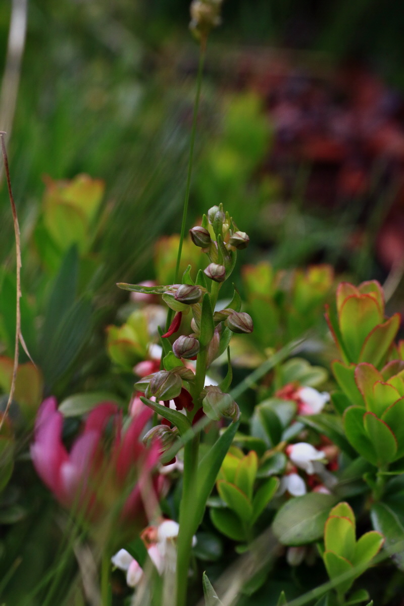 2015_06_18_004352p_Bildgr��e �ndern