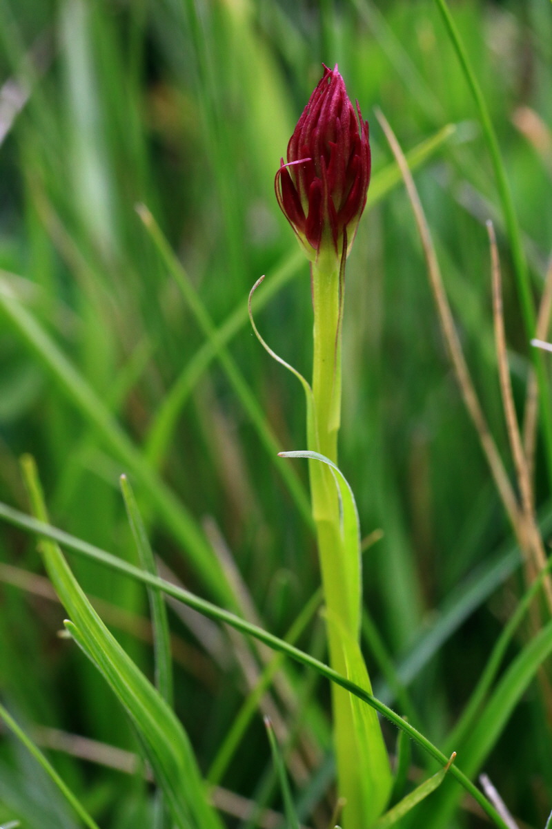 2015_06_18_004357p_Bildgr��e �ndern