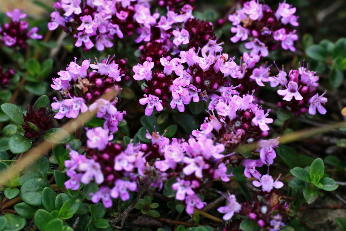 2015_06_18_004359p_Bildgr��e �ndern