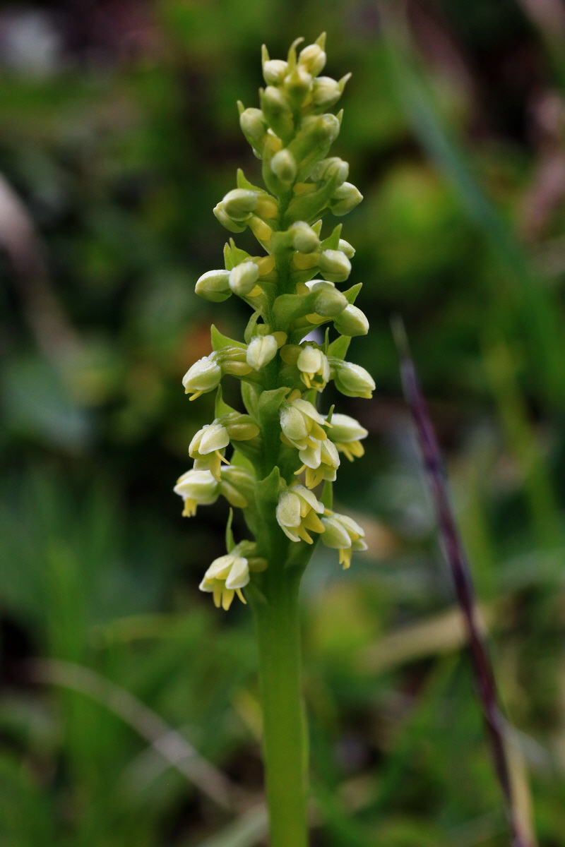 2015_06_18_004360p_Bildgr��e �ndern