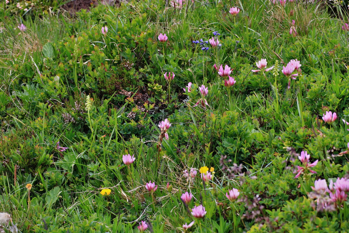 2015_06_18_004365p_Bildgr��e �ndern