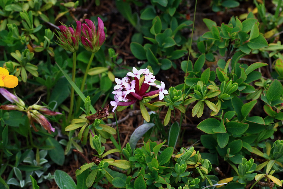 2015_06_18_004367p_Bildgr��e �ndern