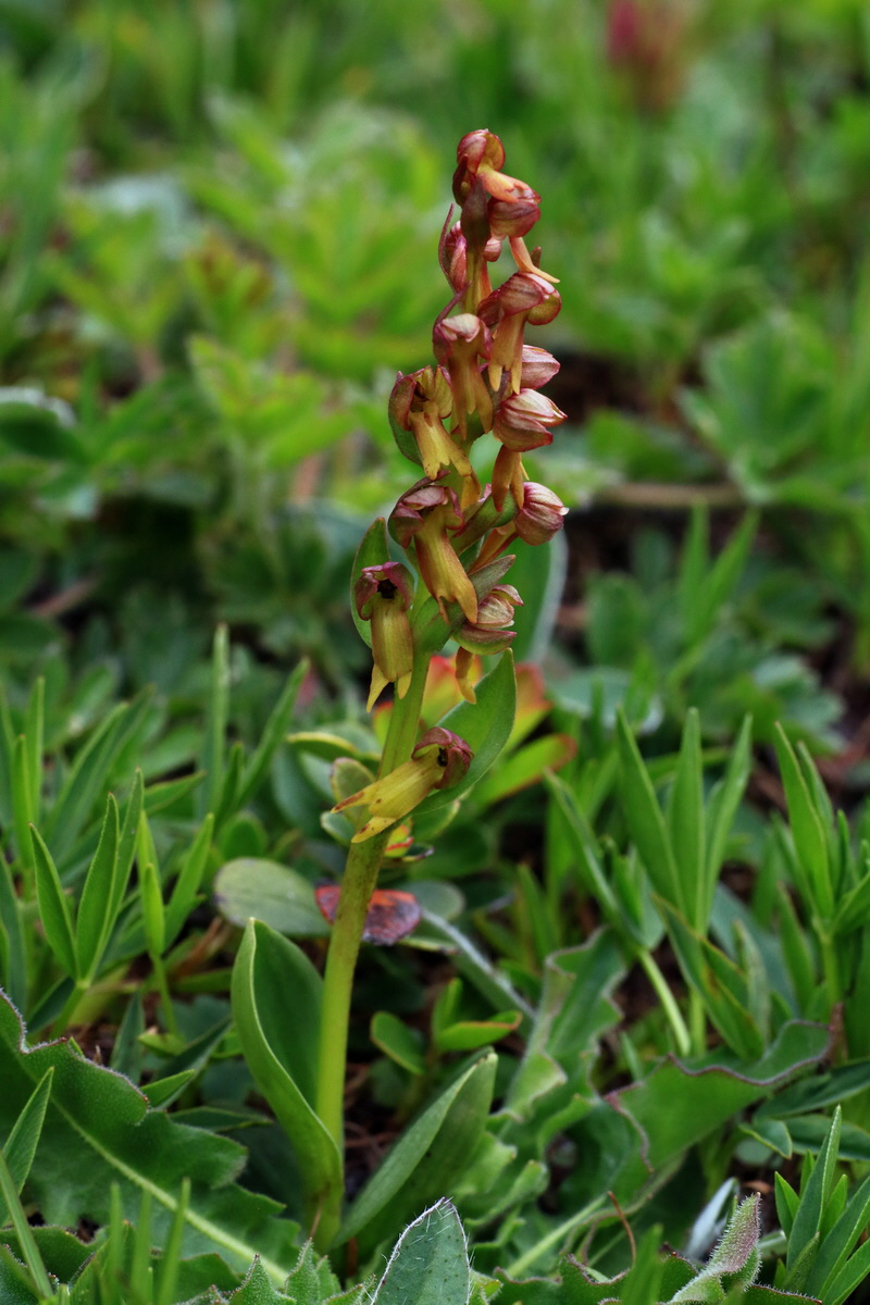 2015_06_18_004372p_Bildgr��e �ndern