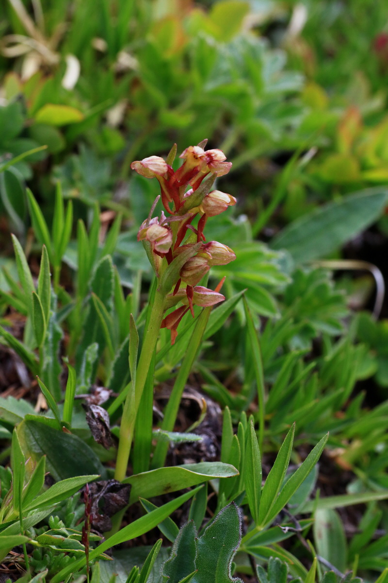 2015_06_18_004374p_Bildgr��e �ndern