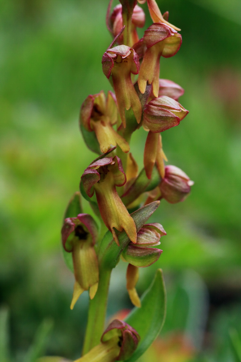 2015_06_18_004376p_Bildgr��e �ndern