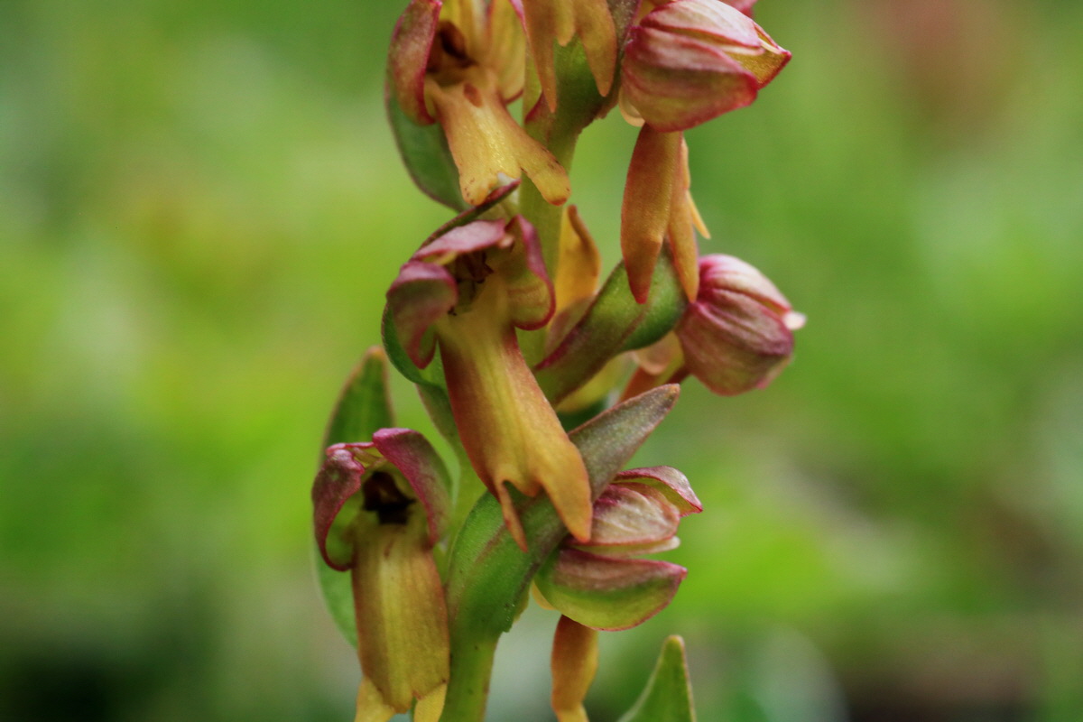 2015_06_18_004380p_Bildgr��e �ndern