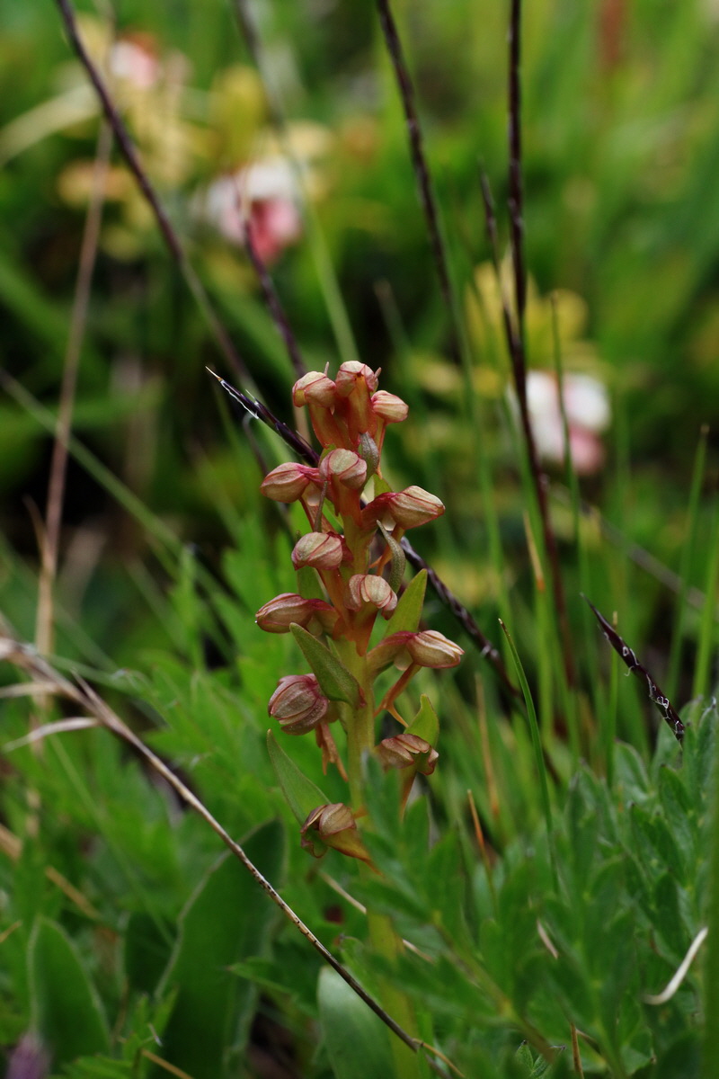 2015_06_18_004389p_Bildgr��e �ndern