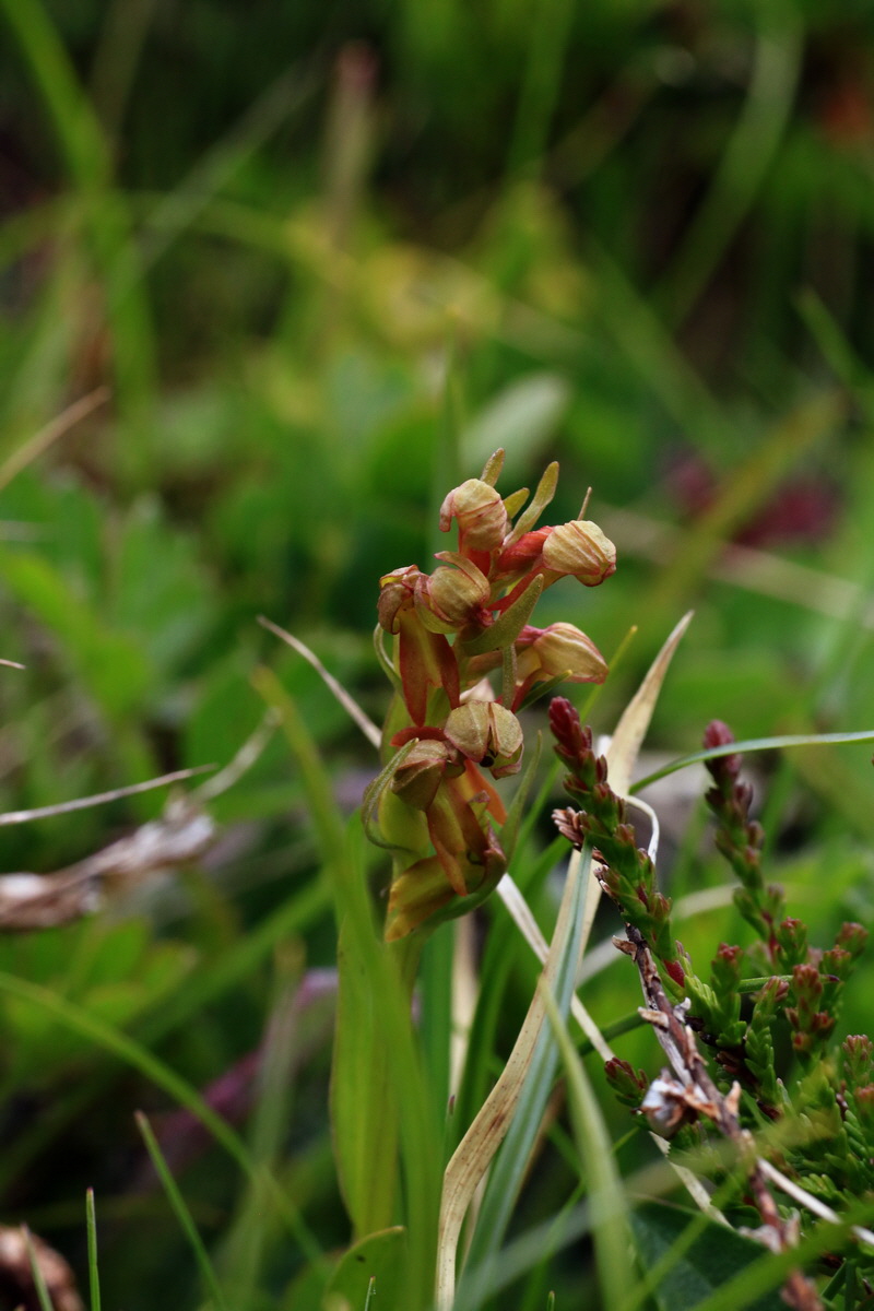 2015_06_18_004390p_Bildgr��e �ndern