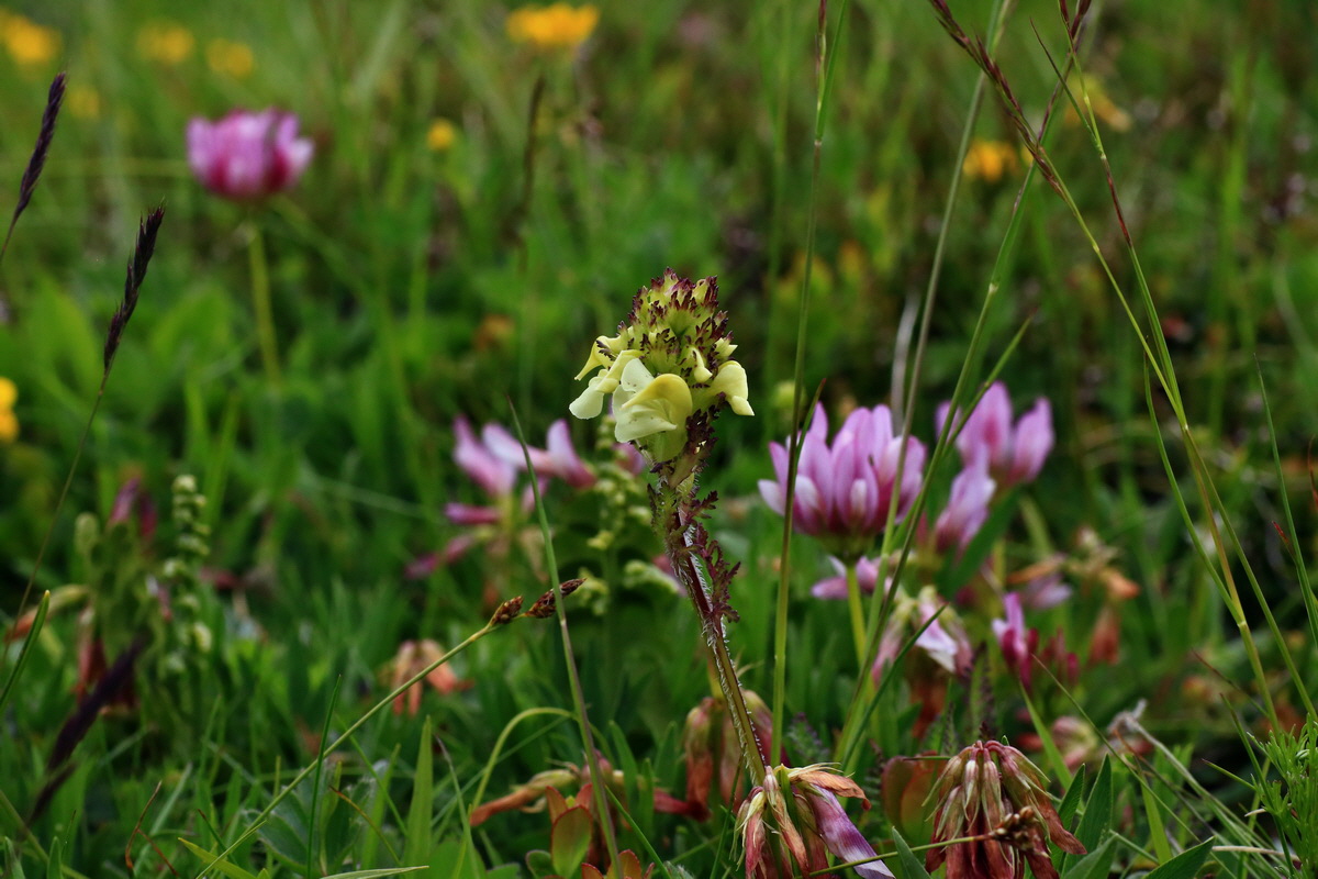 2015_06_18_004394p_Bildgr��e �ndern