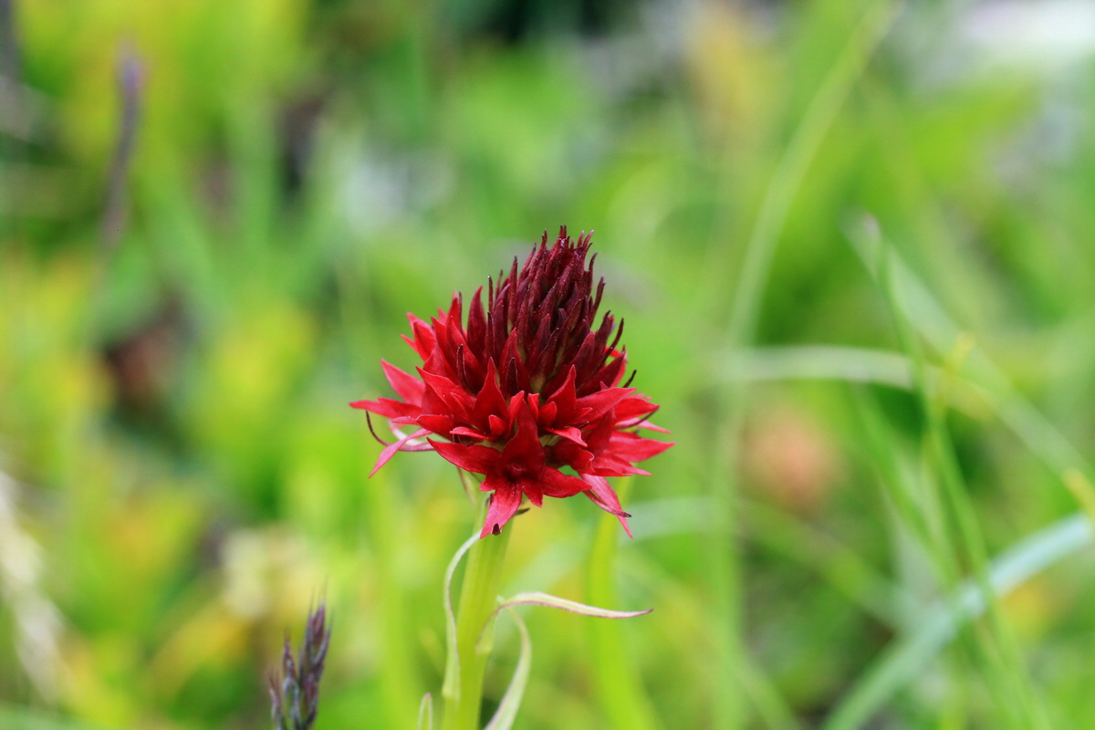 2015_06_18_004403p_Bildgr��e �ndern