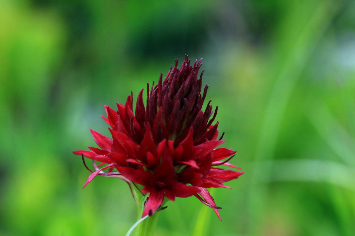 2015_06_18_004406p_Bildgr��e �ndern