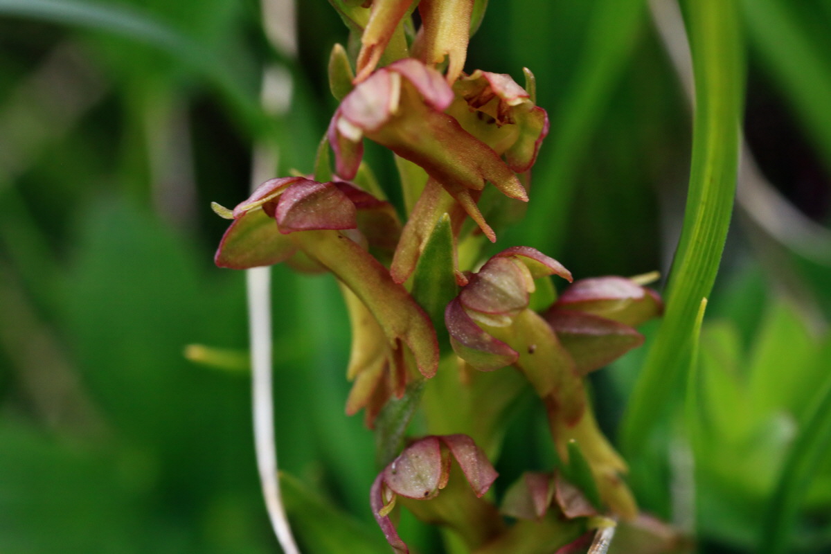 2015_06_18_004407p_Bildgr��e �ndern