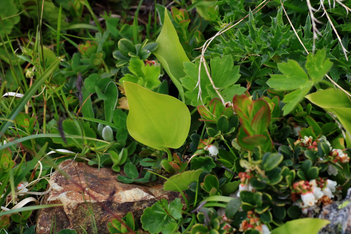 2015_06_18_004411p_Bildgr��e �ndern