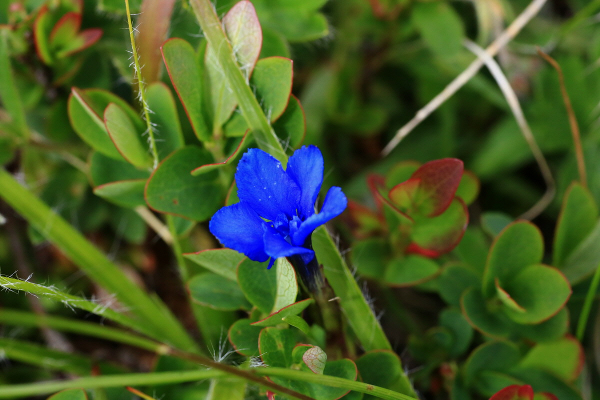 2015_06_18_004414p_Bildgr��e �ndern